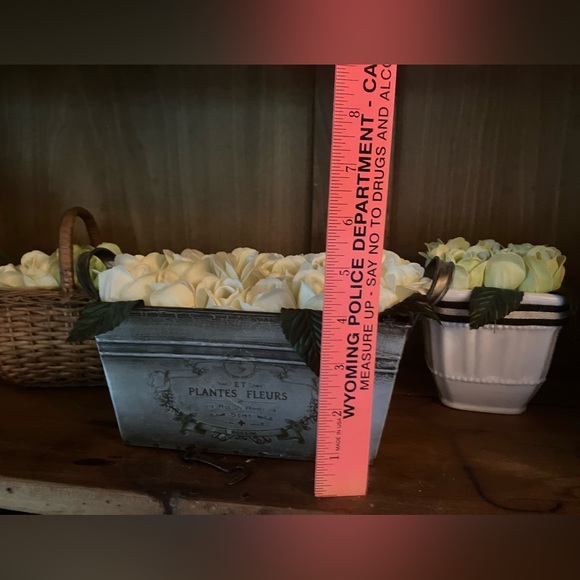 Bath Roses - Picture 2 of 7